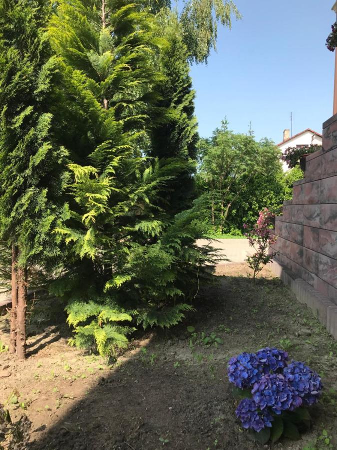 Noclegi Viva Mszczonów Dış mekan fotoğraf